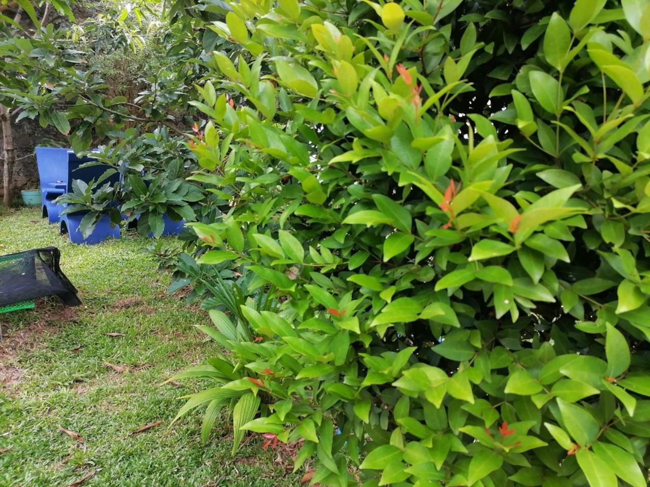 Appartamento Hiriketiya Hasmal House Dikwella Esterno foto
